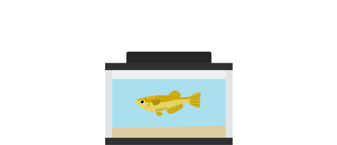 トップページに戻る